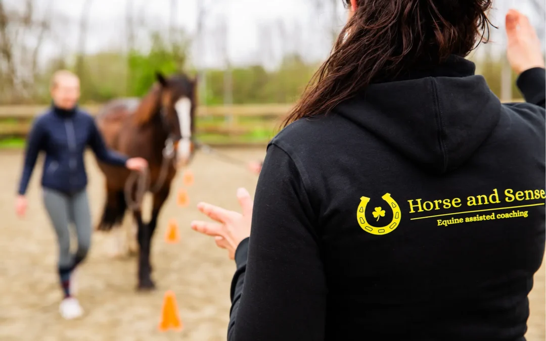 De Kracht van Paardencoaching: Ontdek je Ware Zelf en Groei