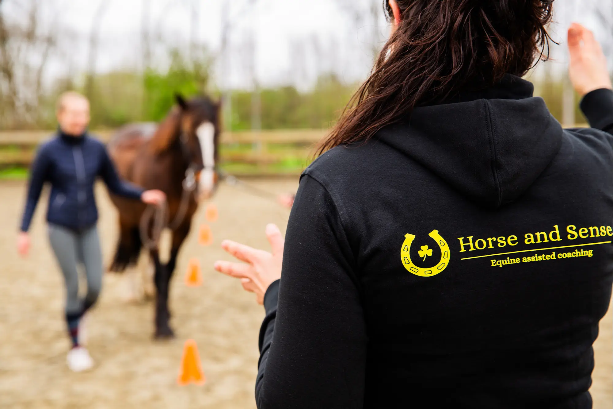 Foto-paardencoaching