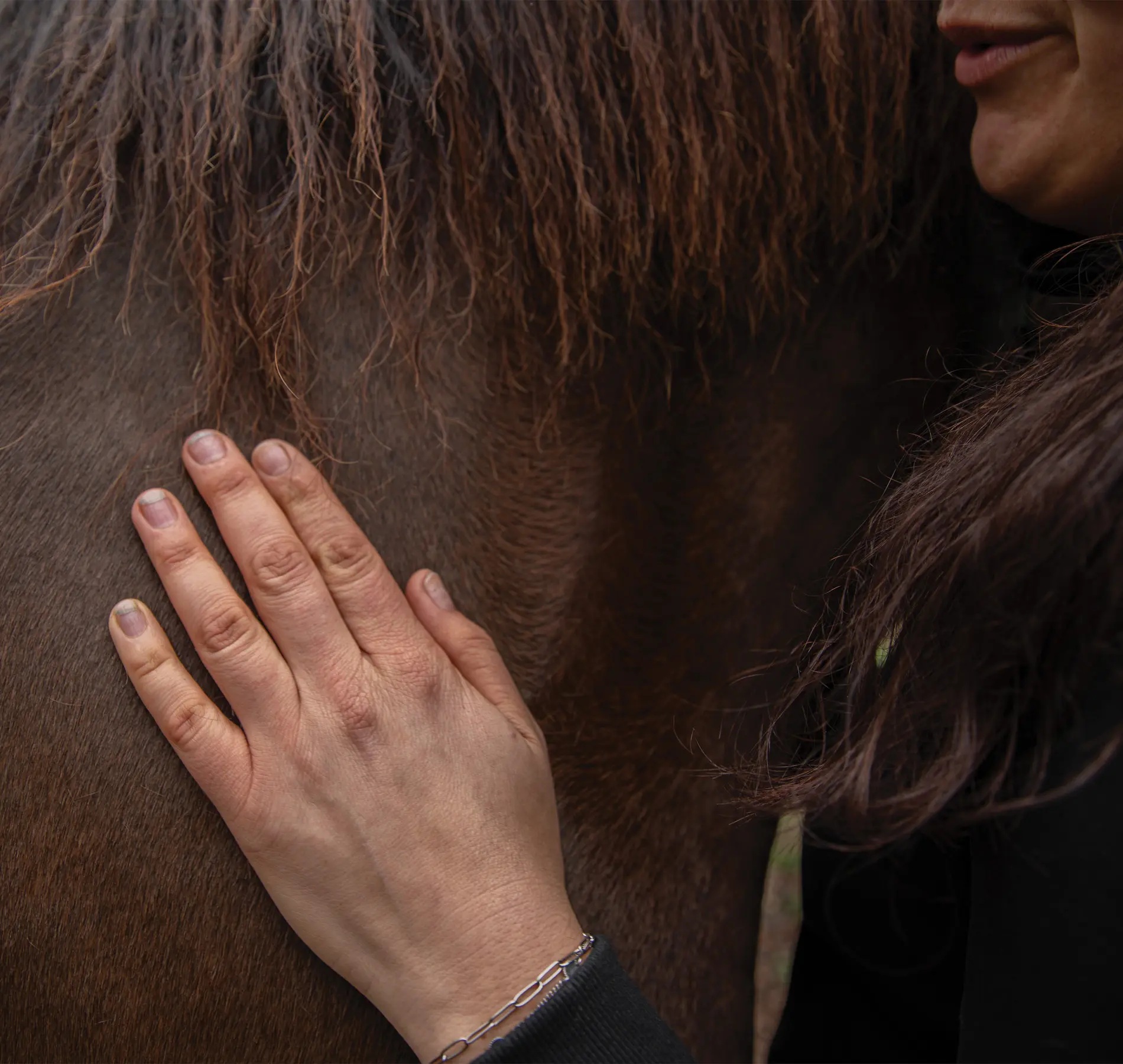 HorseandSense-Individuele coaching