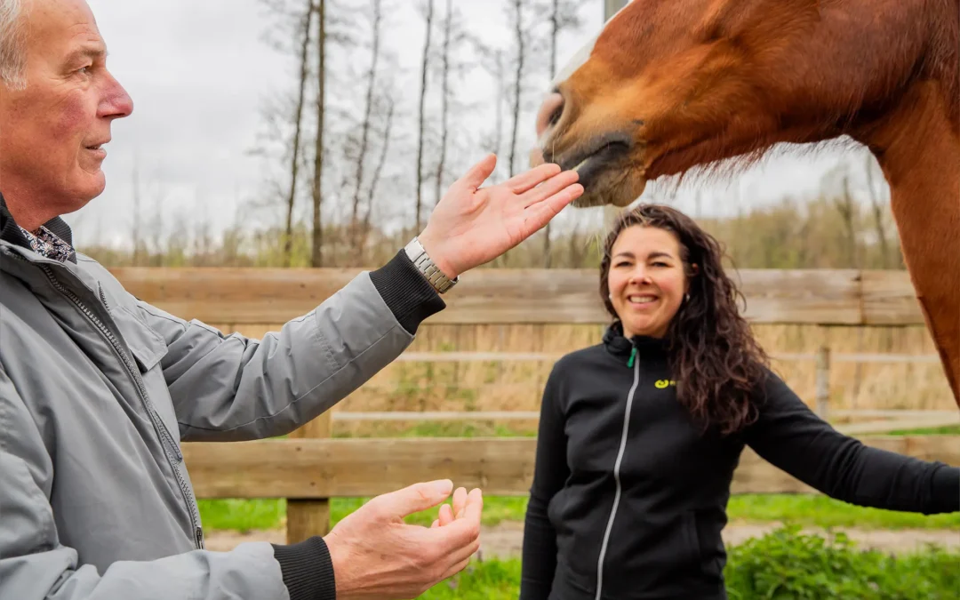 De kracht van ervaringsgericht werken ontdekken via coaching met paarden