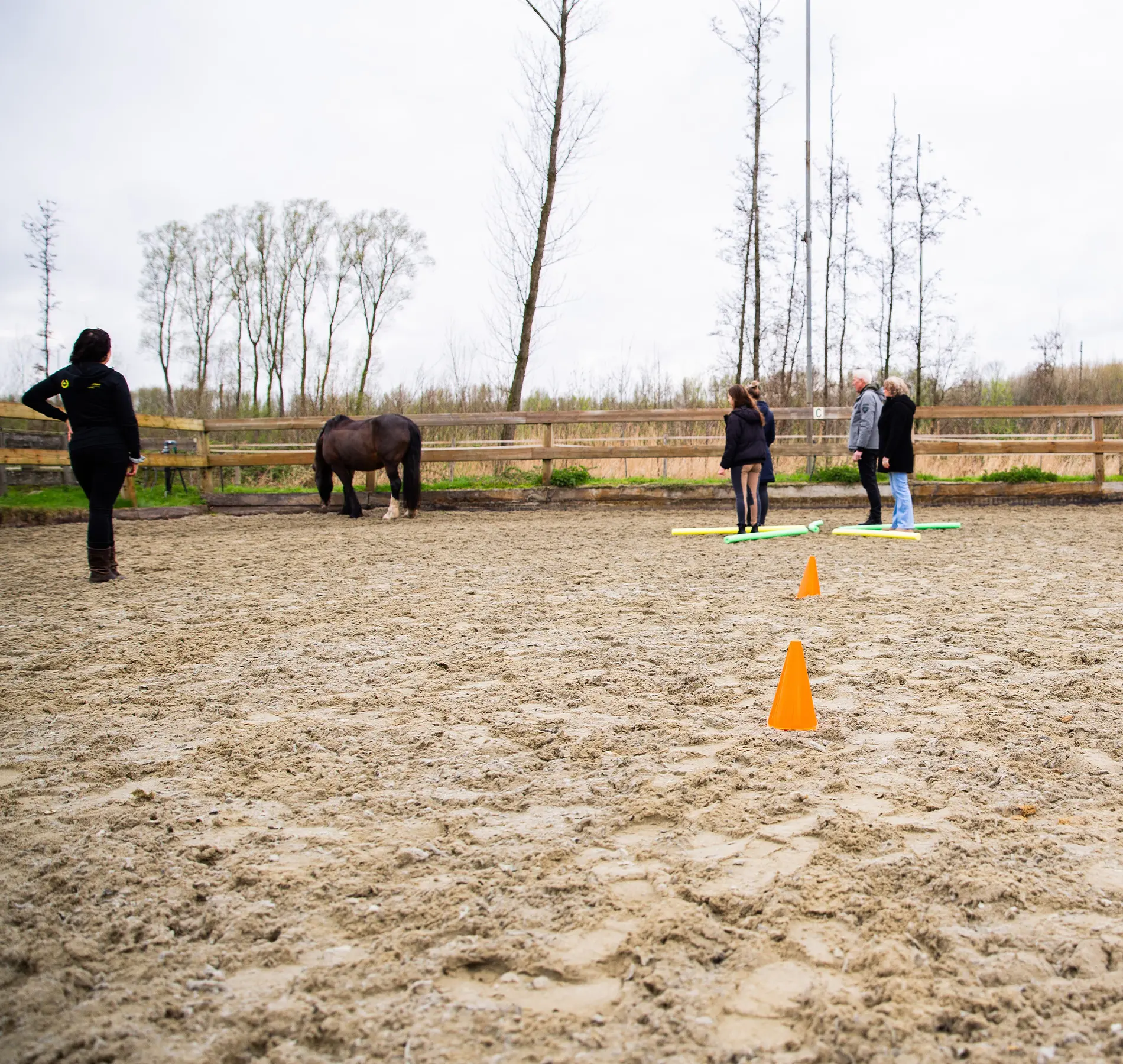 Teambuilding